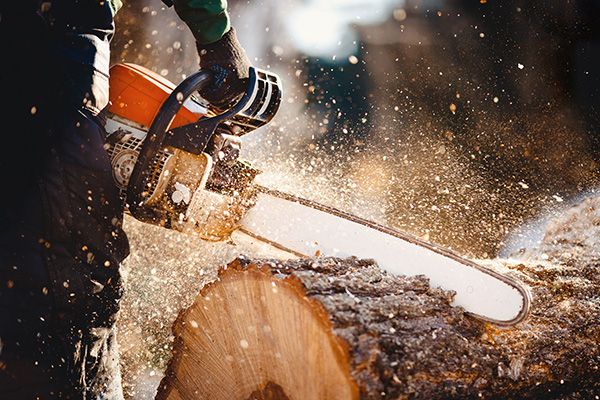 Aspen Bio Chain: om de zaagketting van je motorkettingzaag te smeren en koelen